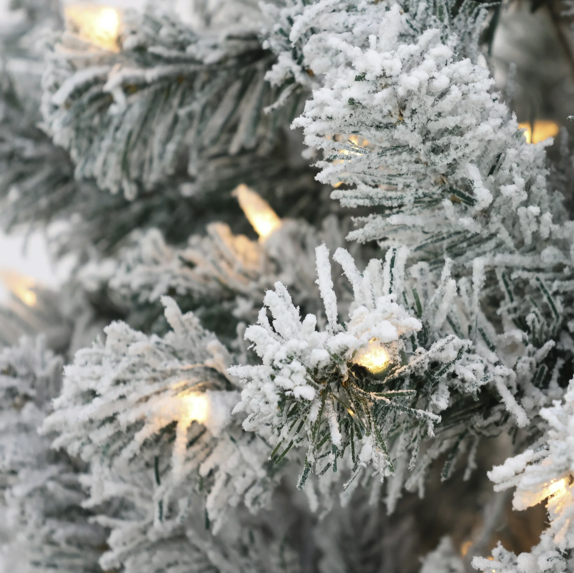 National Tree Company Pre-Lit Artificial Christmas Tree, Green, Acacia, 300 Clear Lights, Flocked, Includes Stand, 6 Feet