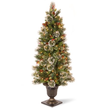 National Tree Company 5 ft. Wintry Pine Entrance Tree with Clear Lights