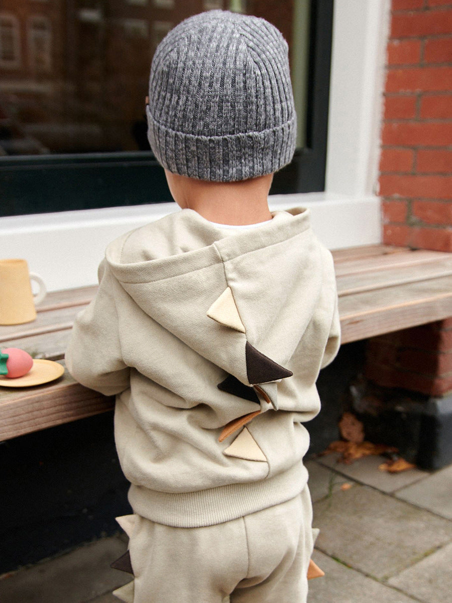 High Quality Spring And Autumn Boys Dinosaur Design Long Sleeves Top Zip-Up Hoodie And Pants Clothing Set-2